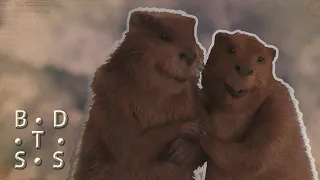 Creatures of Narnia: Beavers | Narnia Behind the Scenes