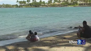 Man bit in waters off Hawaii in apparent shark attack