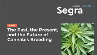 The Past, the Present, and the Future of Cannabis Breeding (Part 2)