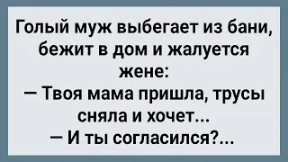 Как Теща в Бане Зятя Напугала! Сборник Свежих Анекдотов! Юмор!