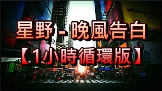 【1小時循環版】星野 - 晚風告白 動態歌詞 Lyrics Video『我遇見很多人 卻只想和你慢慢周旋』