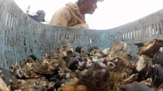 Japan Tsunami Aftermath