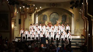 The Wellerman - Vinzentiner Knabenchor/Vinzentinum Boys' Choir