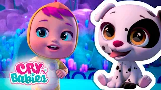Happy Icy Adventures | CRY BABIES 💧 MAGIC TEARS 💕 Long Video | Cartoons for Kids in English