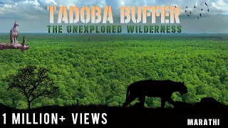 Tadoba Andhari Tiger Reserve - Buffer Zone (Marathi Film)
