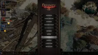 Divinity Original Sin 2 Одна жизнь