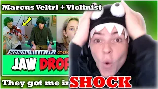 Pianist and Violinist AMAZES Strangers on Omegle (Reaction!)