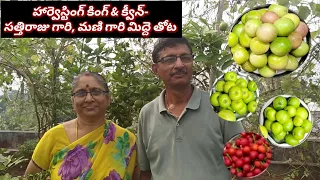 Terrace garden of Mr & Mrs Sathi Raju garu | మిద్దె తోట | English subtitles | Prema's Garden