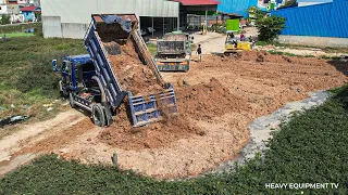 Incredible New Project With Strong Mini Bulldozer Pushing Soil And Dump Truck Unloading