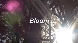 Mark Ambor - Bloom (Cover)