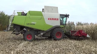 Комбайн Claas Lexion 760 убирает кукурузу в СПК "Гигант"