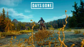 Days Gone PC Live Stream Part 10