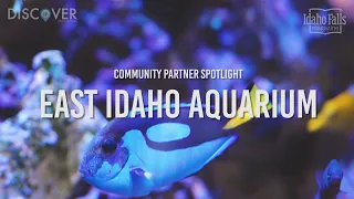 Discover Idaho Falls: East Idaho Aquarium