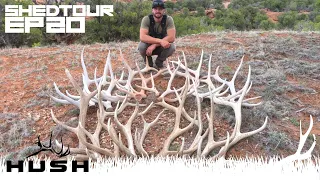 SHED TOUR | THE MOST UNBELIEVABLE ELK SHED HUNT EVER! THEY FOUND THE ZONE | S2E20