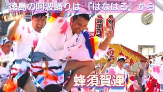 徳島の阿波踊りは『はなはる』から始まります蜂須賀連の登場で一気に藍場浜が超満員！