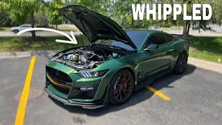 My WHIPPLE Supercharged 2022 Shelby GT500