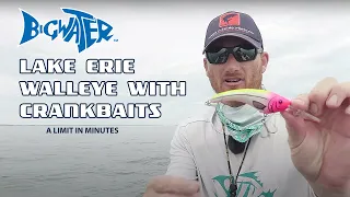 Trolling Crankbaits for Lake Erie Walleye - Tips And Tricks To Get Your Limit