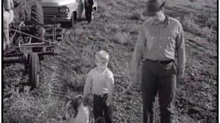 Lassie - Episode #202 - "The Grasshopper and the Ant" - Season 6 Ep. 20 - 01/24/1960