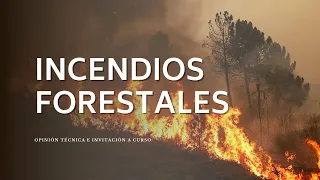 COMENTARIO RELACIONADO A LOS ÚLTIMOS FUEGOS FORESTALES QUE SE ESTÁN DESARROLLANDO EN CHILE