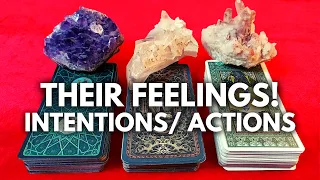 💖🌟HOW ARE THEY FEELING ABOUT YOU RIGHT NOW? 💖🌟INTENTIONS/ ACTIONS💞PICK A CARD TIMELESS TAROT READING