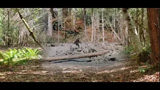 Camping the Roger Patterson Bob Gimlin Bigfoot film location