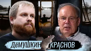 Крысы съели дамбу. Как мигрантов сделать меньше? (Демушкин Краснов)