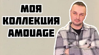 Моя коллекция Amouage