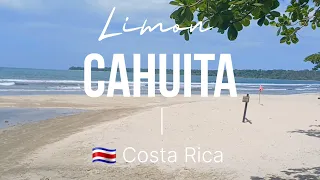 🇨🇷 What to do |  Part 2: Exploring the Caribbean | Rainforest Hiking | Cahuita | Limón | Costa Rica