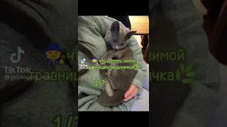 Ведьмочки/травницы tik tok 2023 🌾🐾