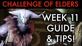 Destiny: Challenge of Elders - Week 11 Guide and Tips!