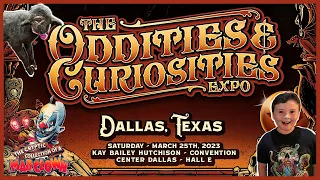 Oddities And Curiosities Expo Dallas Tx 2023! Vendor, Mad Clown Museum & Convention Walkthrough Tour