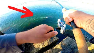 Jetty Fishing For Reds, BUT Then This Happened! **Big Eat**