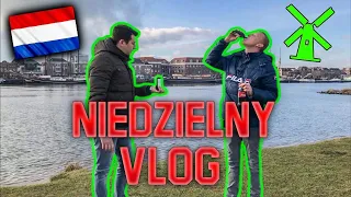 NIEMA TO JAK VLOG / ŻYCIE W HOLANDII