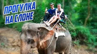 Прогулка верхом на слоне (Elephant trekking) по джунглям Тайланда | Krabi, Thailand - ПОЛНАЯ ВЕРСИЯ