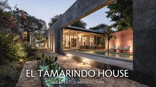 Majestic Tree Inspires This Timeless House in Mexico
