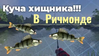 Ловля ЩУКИ и ОКУНЯ | Ultimate Fishing Simulator | Ричмонд