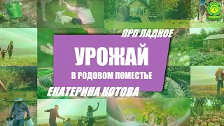 Урожай в Родовом поместье