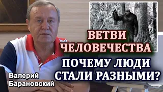 Ветви человечества. Почему люди стали разными? (2020-09-07)