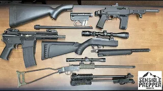 Top 8 Take Down Survival Rifles in 22 LR