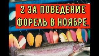 Два за поведение   Ловля форели в ноябре