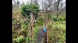 Bealtaine Cottage ~ How To Build A Rustic Garden Arch For Free...Well, Almost!
