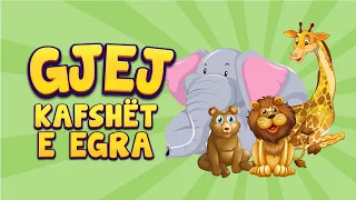 Loja Gjej Kafshët e Egra 🐻 Tingujt e Kafsheve Shqip për Fëmijë