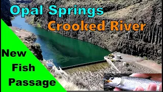 Opal Springs Fish Passage & Hydro Dam on The Crooked River Oregon | Fly Fishing | Steelhead Returns