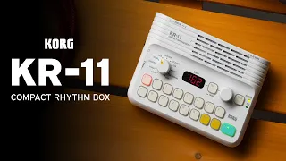 KR-11: practice and play anywhere, anytime!