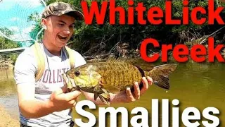 Smallmouth Bass fishing White Lick Creek Indiana