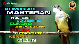 KOMBINASI MASTERAN [ KATEM - LOVEBIRD - CUNGKO - CIBLEK - JENGGOT - KENARI - CILILIN ]