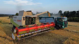 Žně 2023 Ječmen / Claas Lexion 580 + Tatra Phoenix