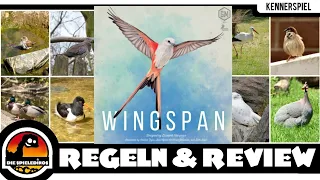 Wingspan  Flügelschlag  Brettspiel   Regeln und Rezension