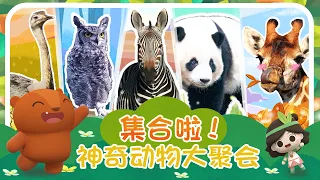Compilation | Welcome to the Zoo! | Emmy&GooRoo Nature Class | Kids Cartoons [SUBS]