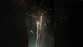 Most Wanted 250s firework